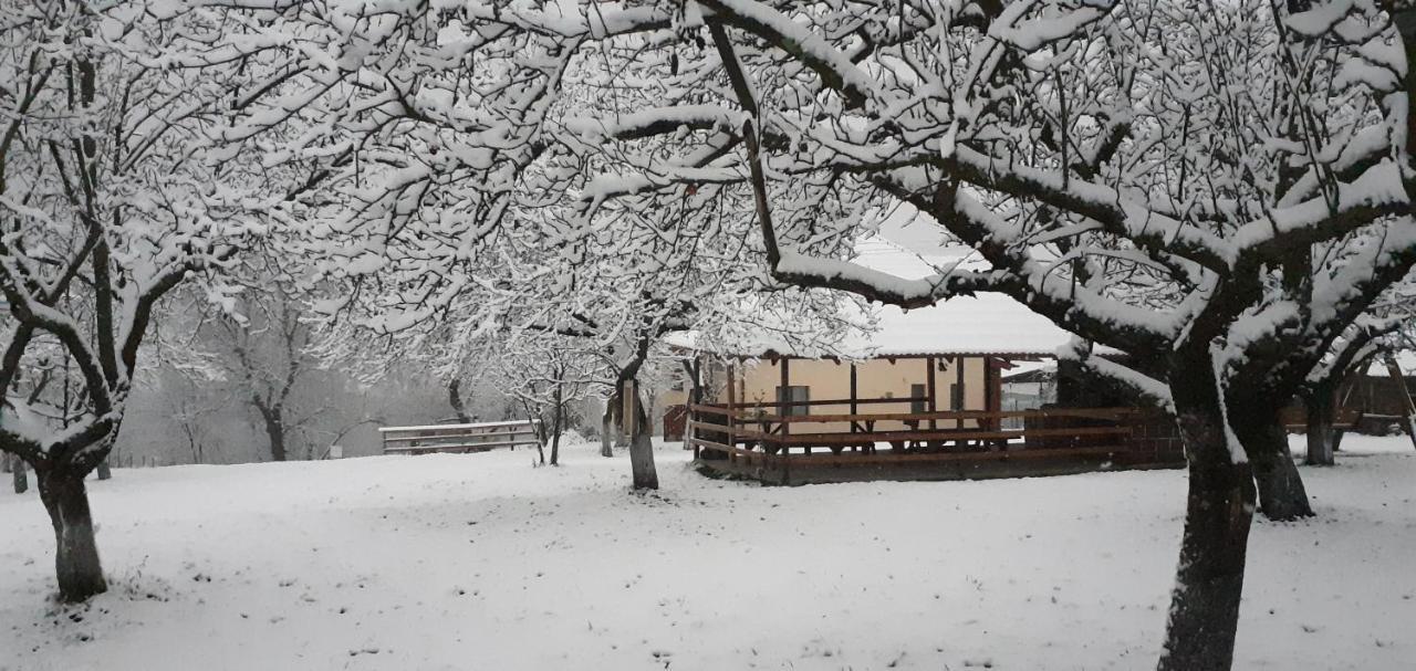 Pensiunea Agroturistica Ica Valea Drăganului Exterior foto