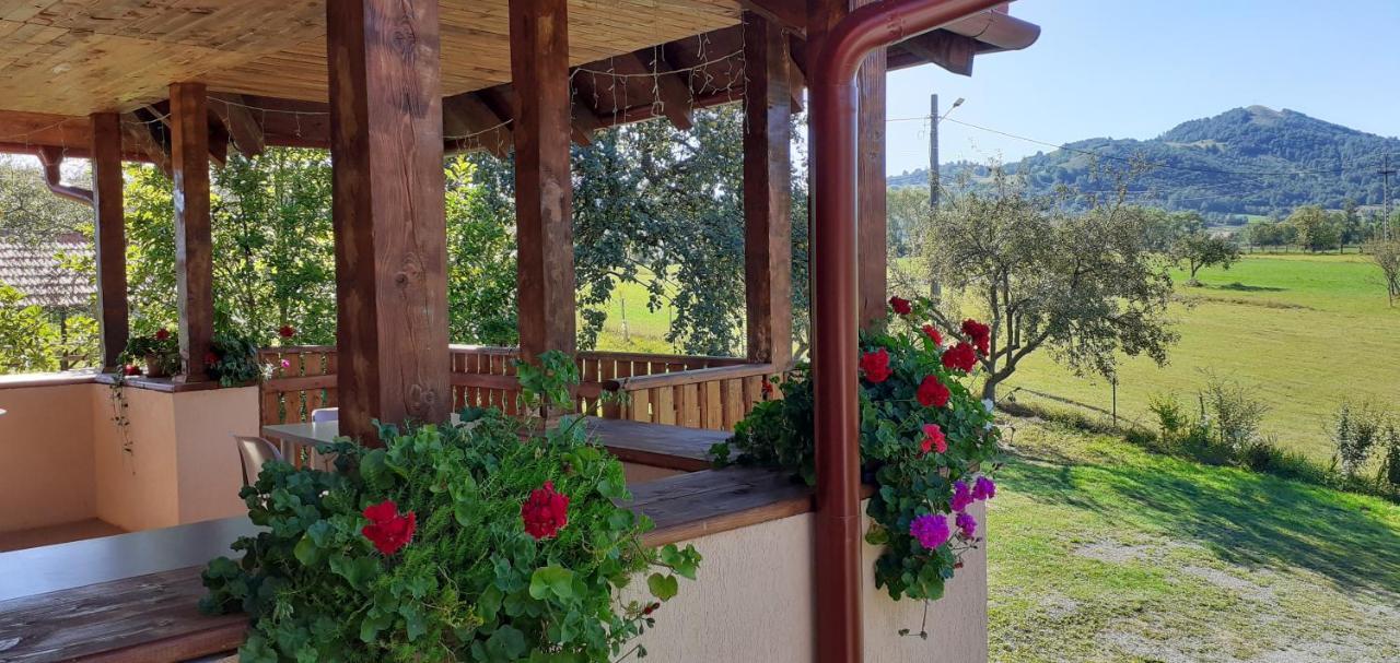 Pensiunea Agroturistica Ica Valea Drăganului Exterior foto