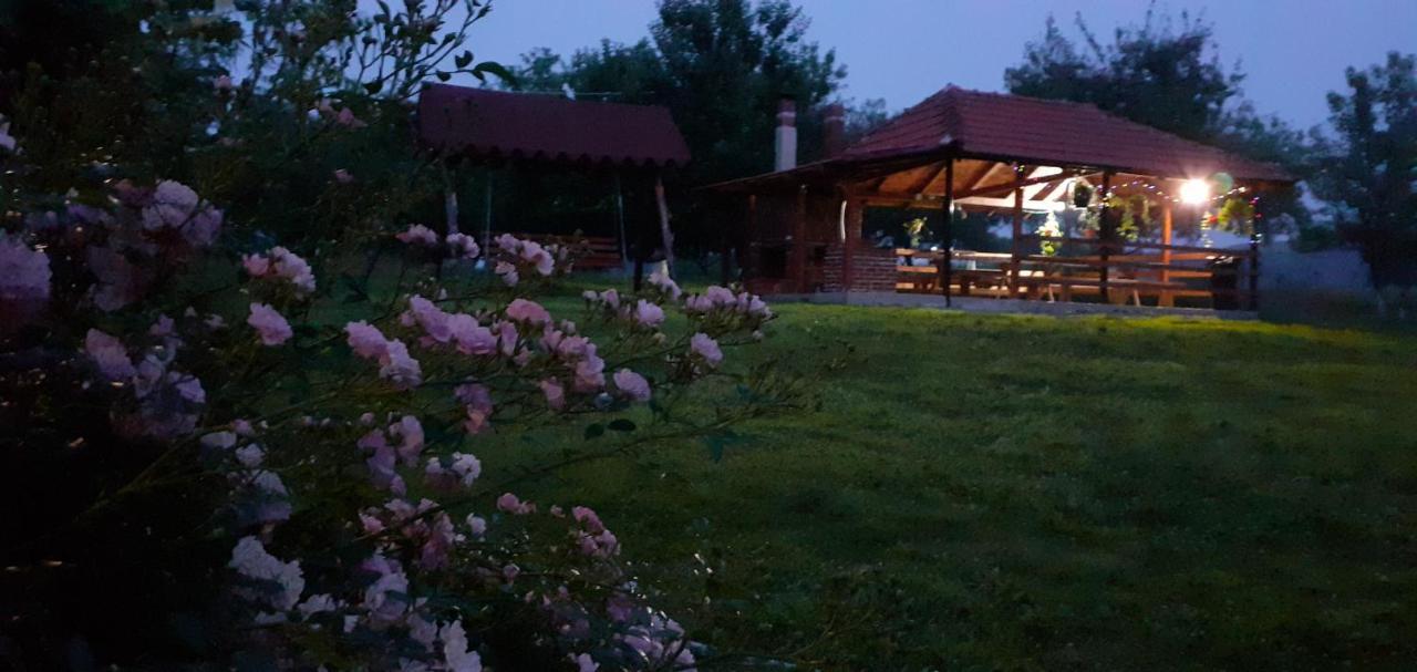 Pensiunea Agroturistica Ica Valea Drăganului Exterior foto