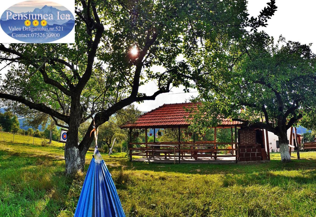 Pensiunea Agroturistica Ica Valea Drăganului Exterior foto