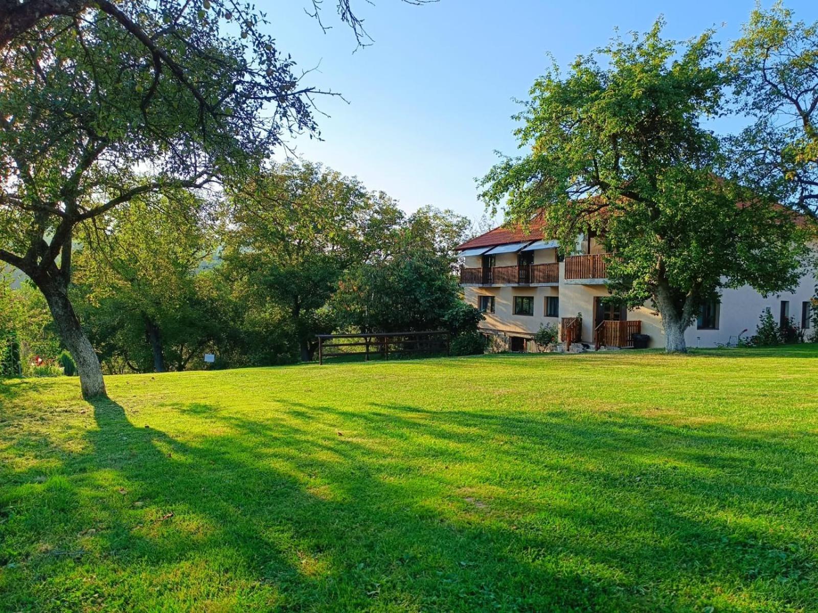Pensiunea Agroturistica Ica Valea Drăganului Exterior foto