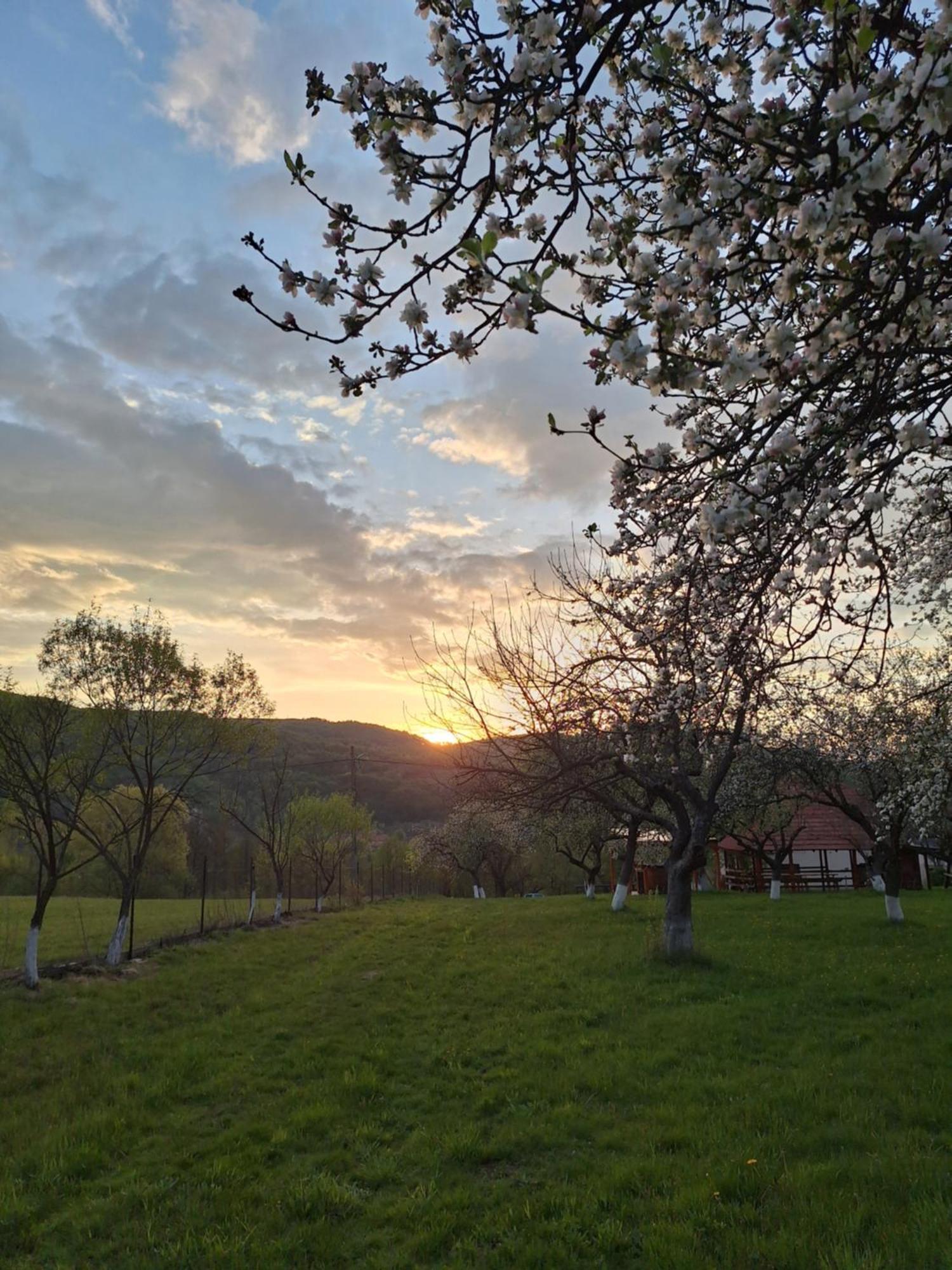 Pensiunea Agroturistica Ica Valea Drăganului Exterior foto