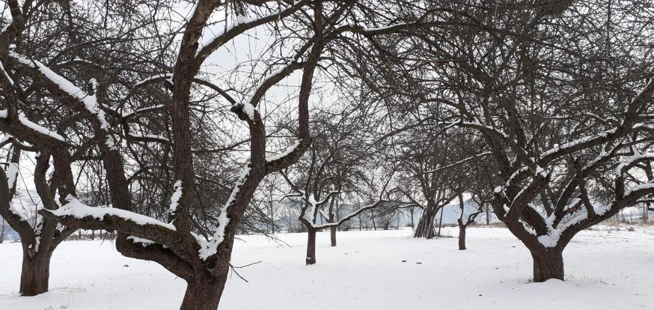 Pensiunea Agroturistica Ica Valea Drăganului Exterior foto